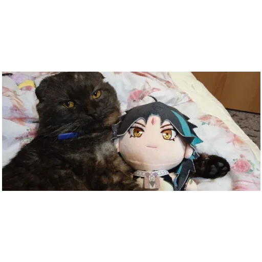 Эмодзи Котики