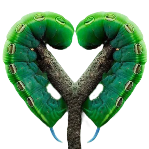 💚