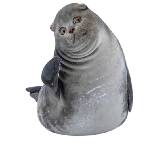 Эмодзи Cat Faces