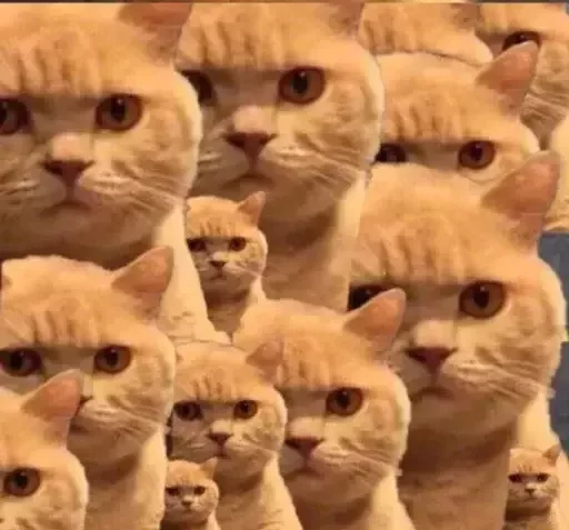 Эмодзи catislooking