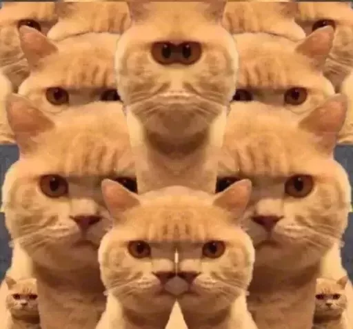 Эмодзи catislooking