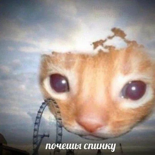 Эмодзи котики
