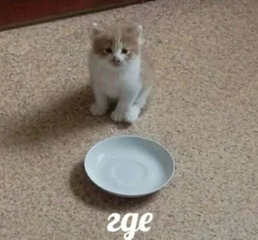 Эмодзи котики