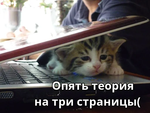 Эмодзи Котики ревьюверы