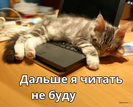 Эмодзи Котики ревьюверы