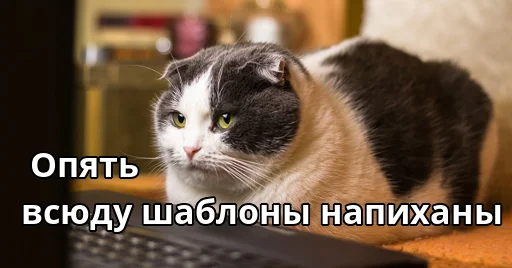 Эмодзи Котики ревьюверы