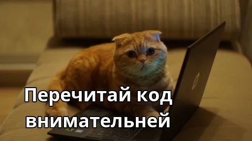 Эмодзи Котики ревьюверы