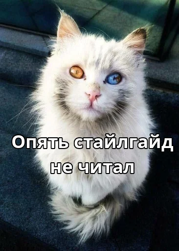 Эмодзи Котики ревьюверы