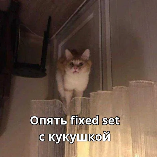 Эмодзи Котики ревьюверы