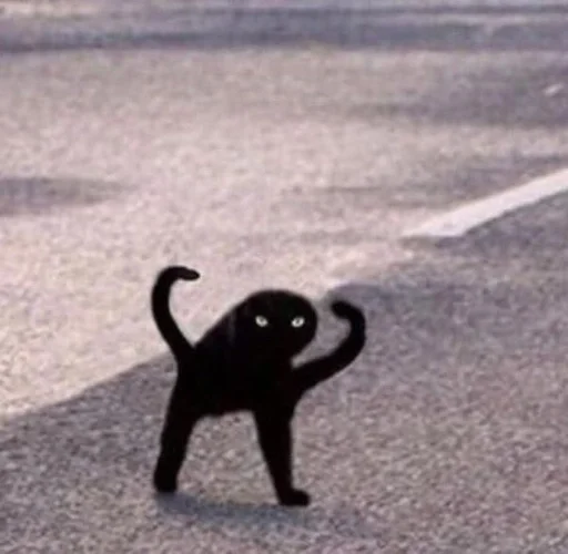 Эмодзи cats mood
