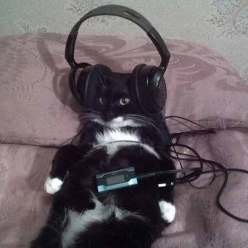 Эмодзи cats mood