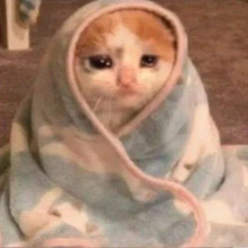 Эмодзи cats mood