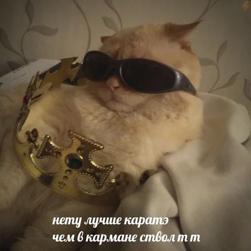 Эмодзи Коты на каждый день ?