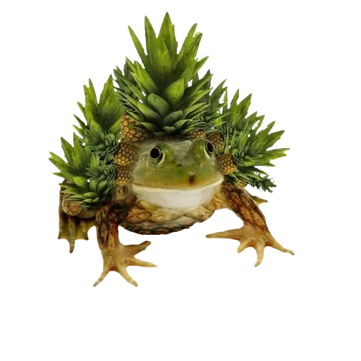 Эмодзи кот4