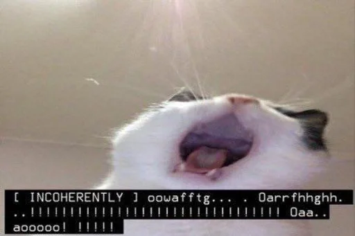 Эмодзи котята из пинтереста