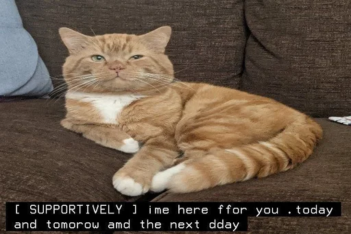 Эмодзи котята из пинтереста