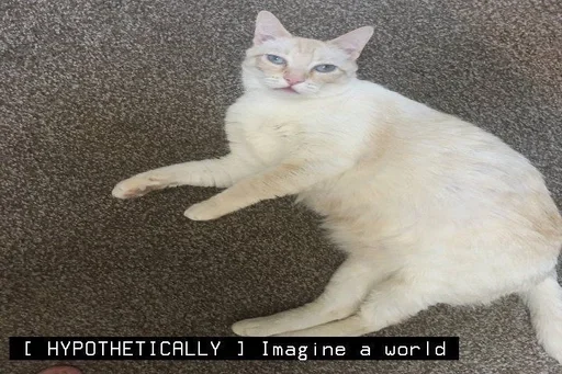 Эмодзи котята из пинтереста