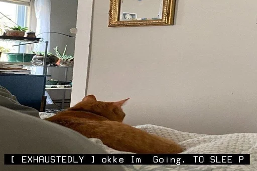 Эмодзи котята из пинтереста