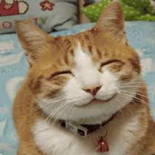 😊