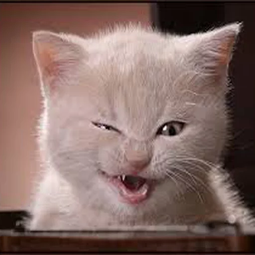 Эмодзи Cats