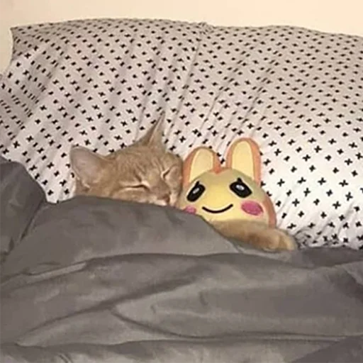 Эмодзи cats