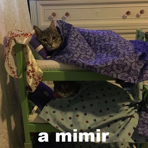 Эмодзи cats