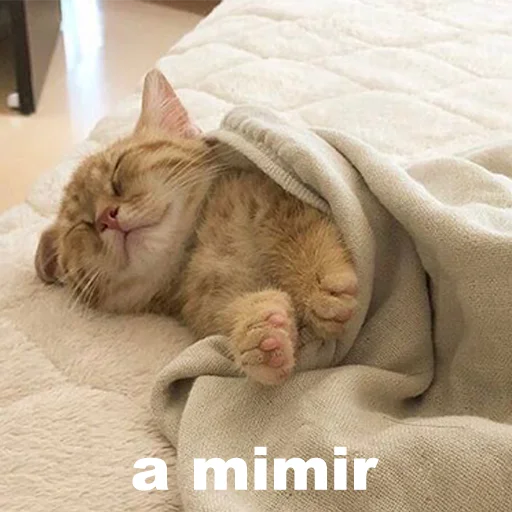 Эмодзи cats