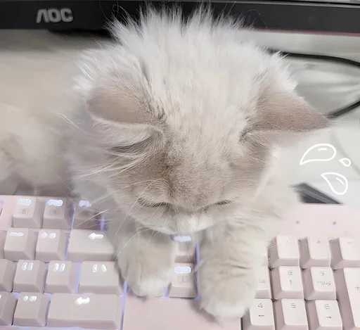 🐾