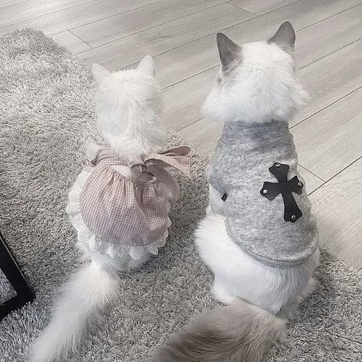 Эмодзи cats
