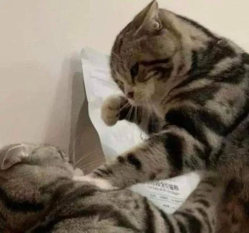 Эмодзи котики