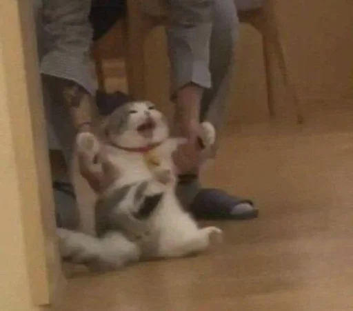 Эмодзи котики