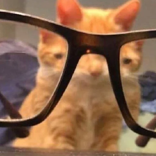 Эмодзи кис кис я котик ты котик