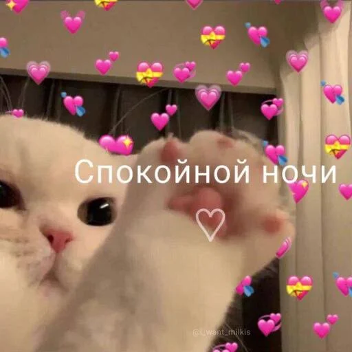 Эмодзи Котики