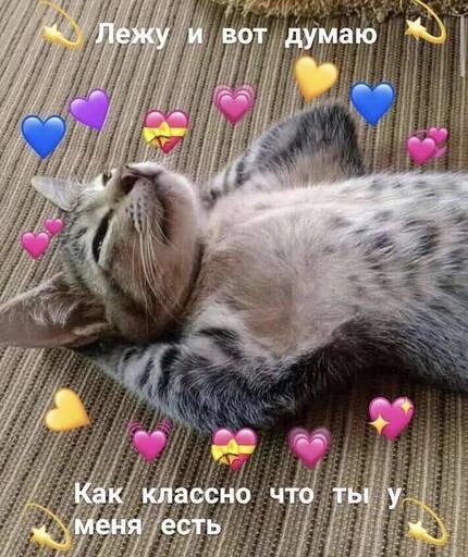 Эмодзи Котики