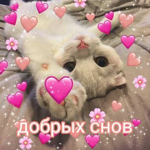 Эмодзи Котики