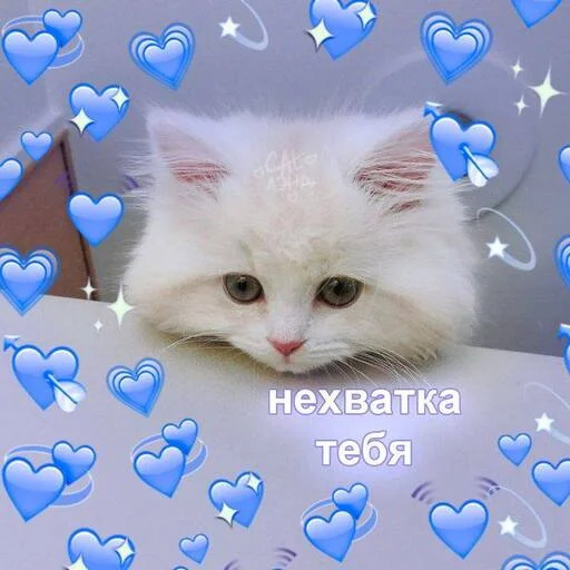 Эмодзи Котики