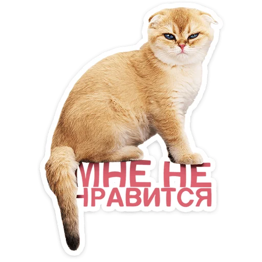 Эмодзи Котятки