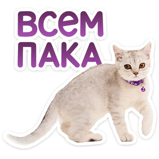 Эмодзи Котятки