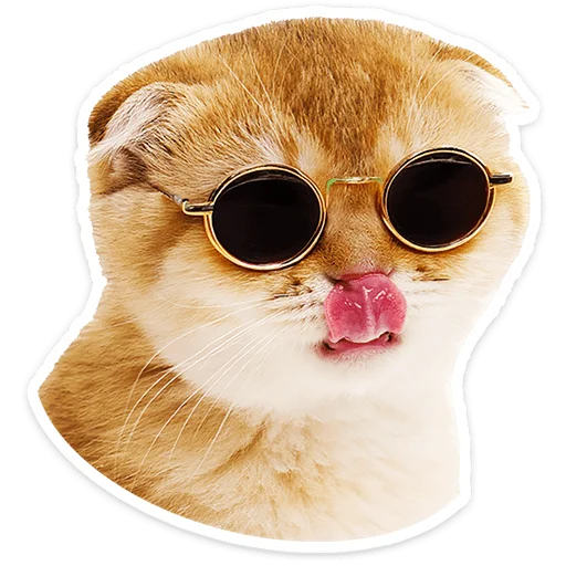 Эмодзи Котятки