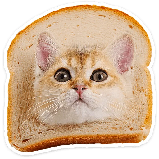 Эмодзи Котятки