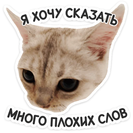 Эмодзи Котятки
