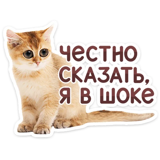 Эмодзи Котятки