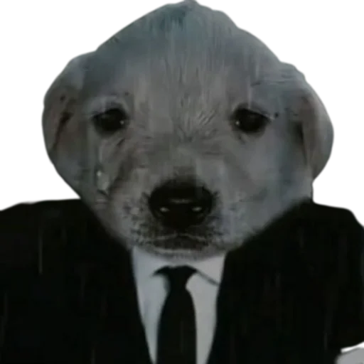 Эмодзи doggies