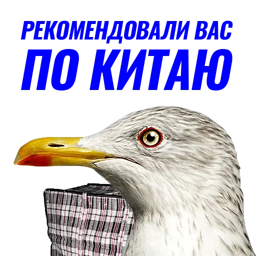 Эмодзи Чaйка