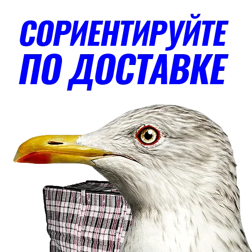 Эмодзи Чaйка