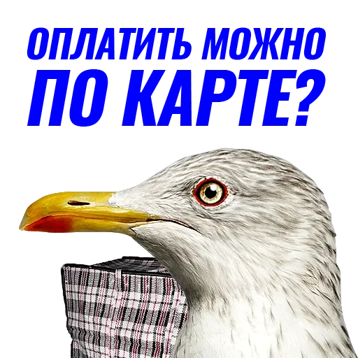Эмодзи Чaйка