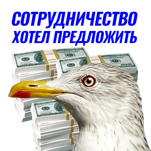 Эмодзи Чaйка