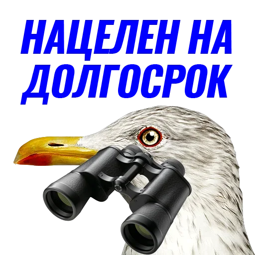 Эмодзи Чaйка