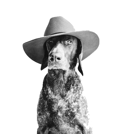 Эмодзи dogs!