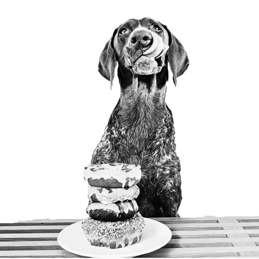 Эмодзи dogs!
